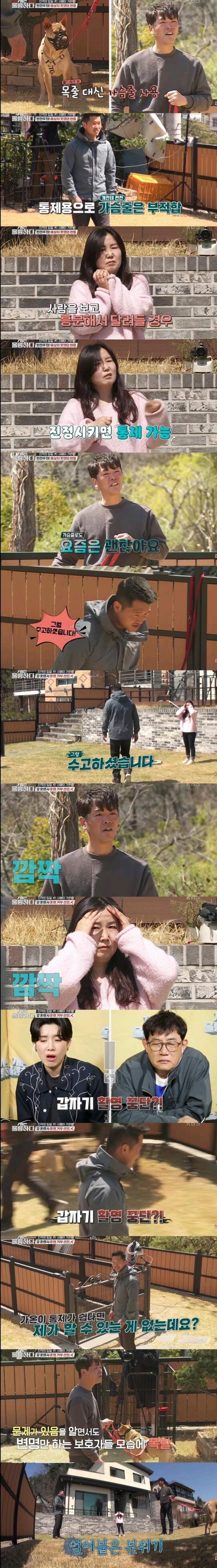 개물림 사고가 일어나는 원인의 대부분jpg (3)