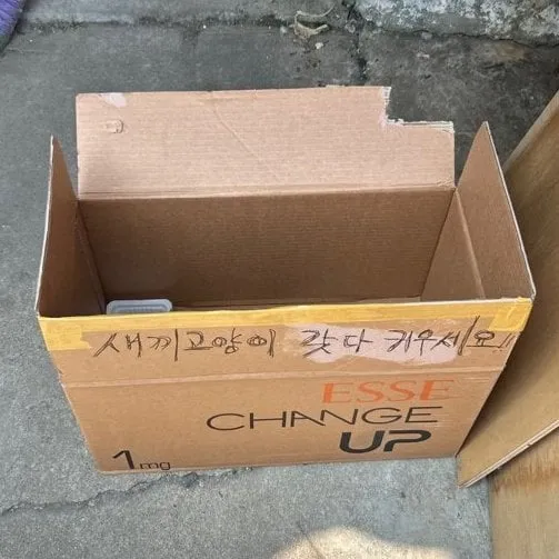싱글벙글 이름이 곤히인 이유.cat