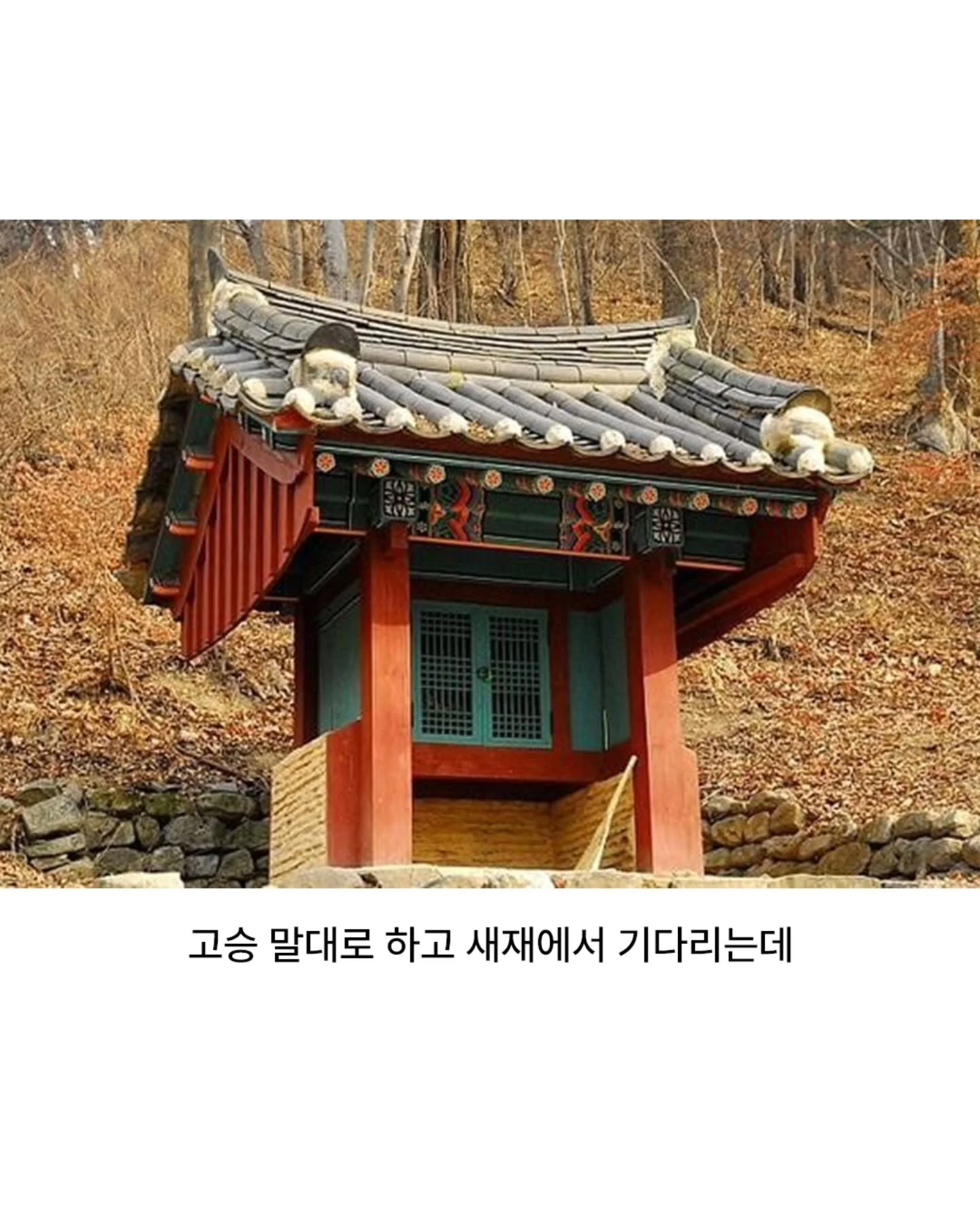 산신령에게 벌을 내린 태종 임금 (9)