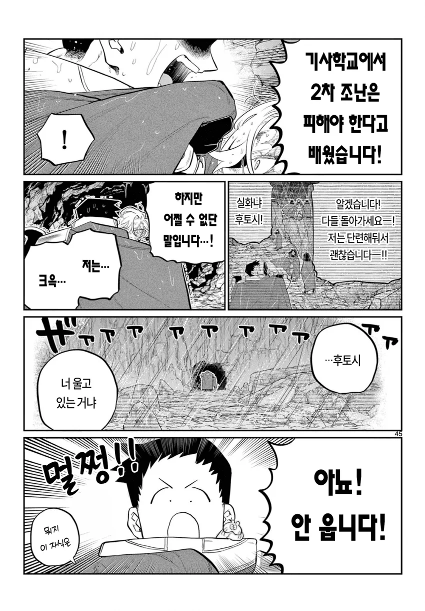 신참을 괴롭히는 기사단장 만화 (44)