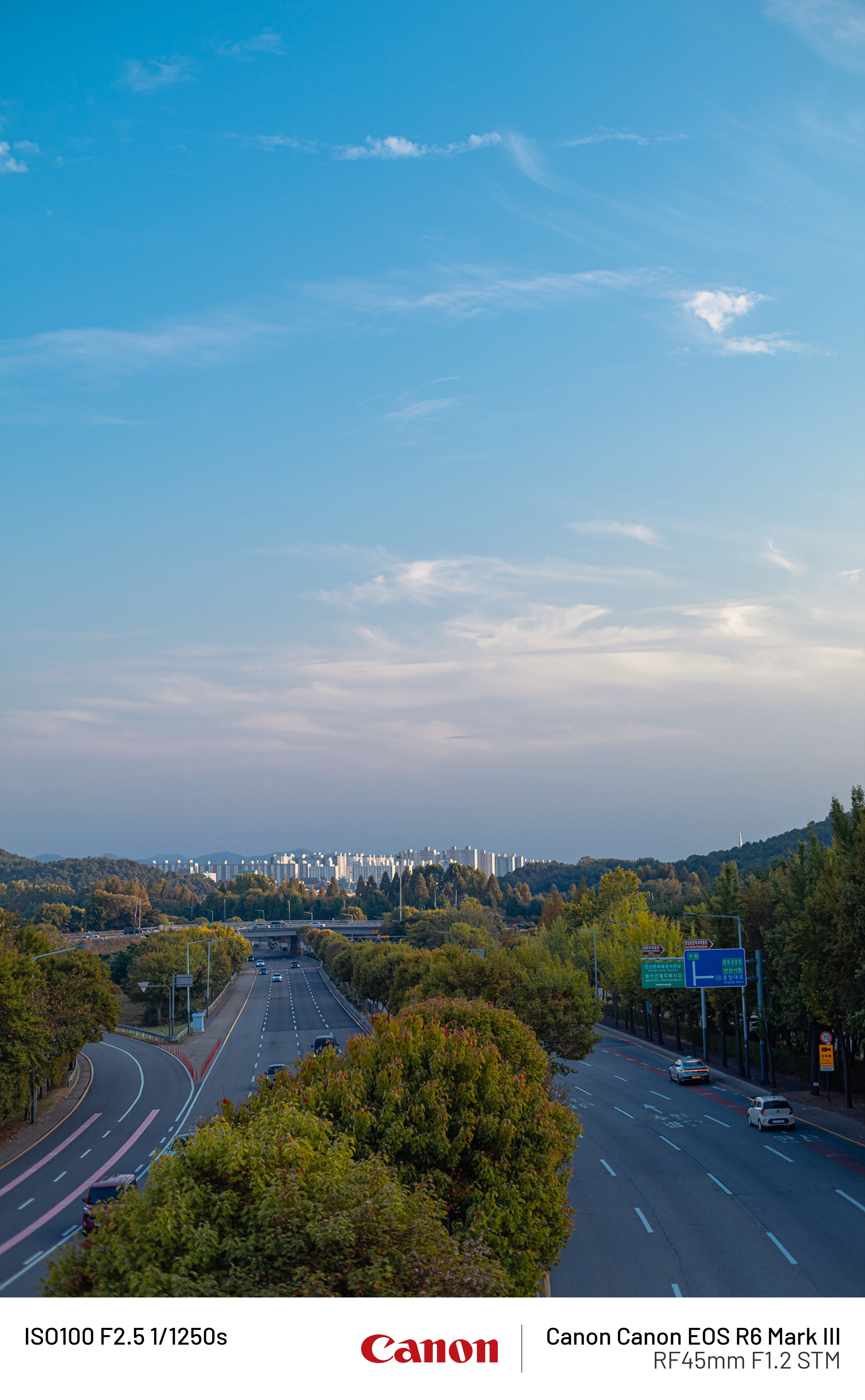 사오이 사진(30) (11)