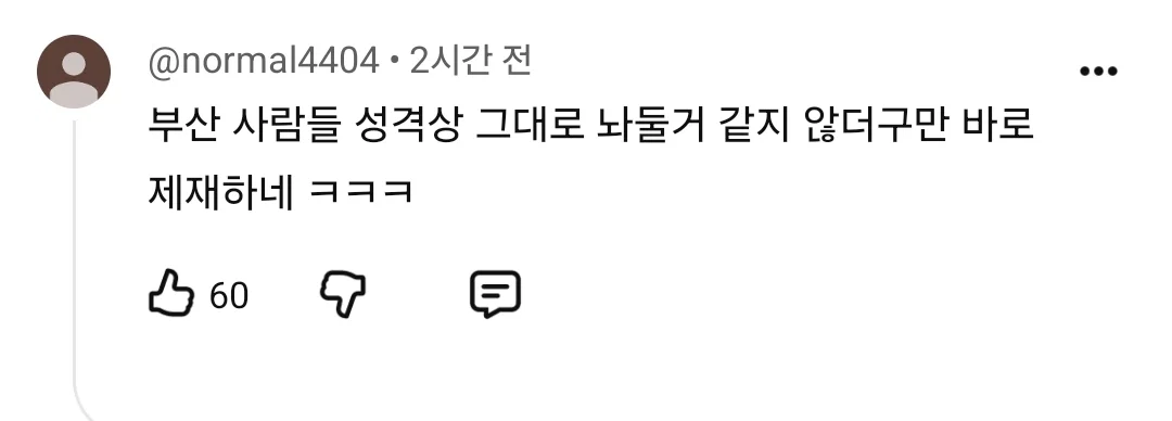 이것마저 역시 부산답다는 말 나오는 부캉이 방범대... (7)