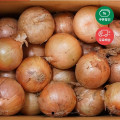 [우체국쇼핑]햇양파 5kg (4,360원/무료)