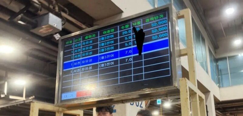 미쳐돌아가는 전어 경매가
