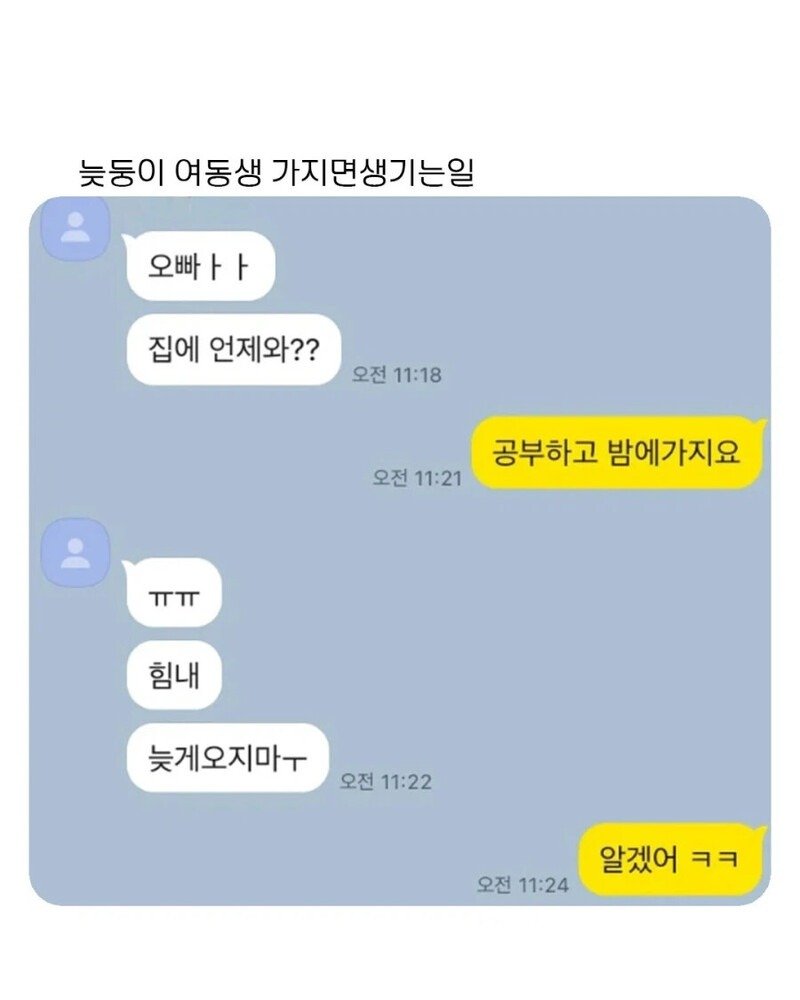 늦둥이 여동생과 오빠의 카톡