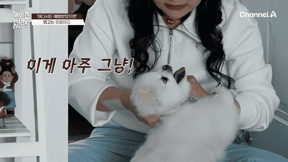 [#개와늑대의시간2] _저 같아도 물 것 같._ 하루에 개를 462번 부르는 보호자!_😨🚨 (귀에 딱지 앉을 듯.)🤕🐕 _ 개와 늑대의 시간2 17회 3-5 screenshot.png