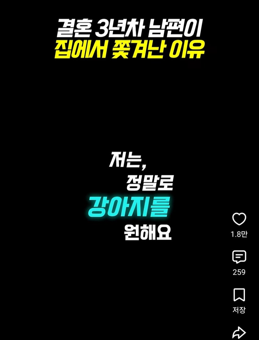 훌쩍훌쩍 부부의 반려동물 고르기촌 (5)