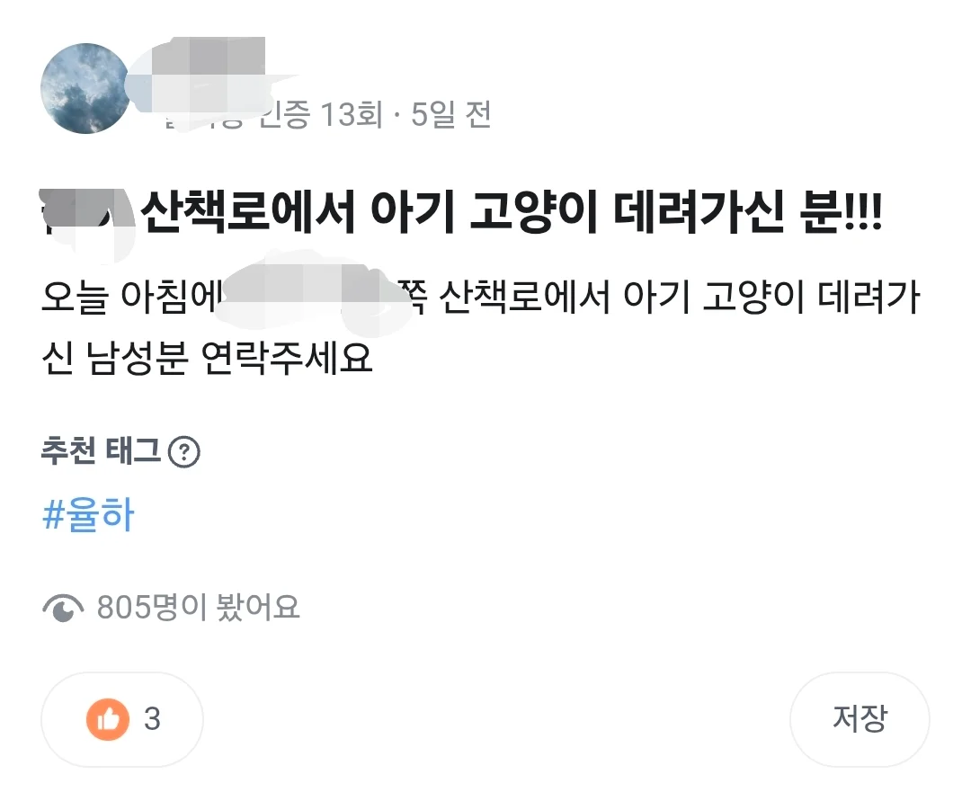 본가 왔는데 캣맘들 뭐냐?ㅋ