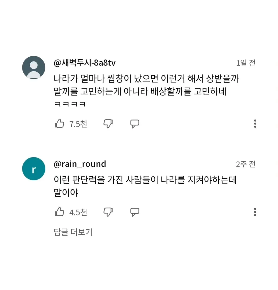 엘베 부셔버린 초등학교 공익 (2)