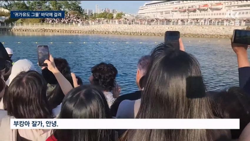 상어 부캉이 구조작업 또 실패…바다 앞서 멈췄다 (10)