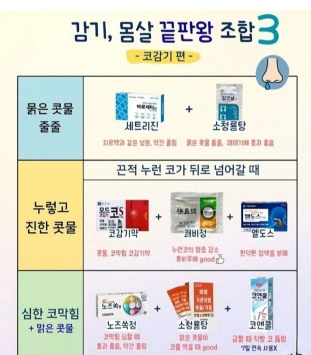 약사가 인정하는 감기 몸살 끝판왕 조합 (3)