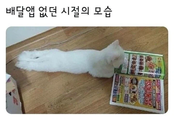 배달앱 없던 늙크크시절