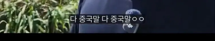 한국인 없는 제주 우도 근황