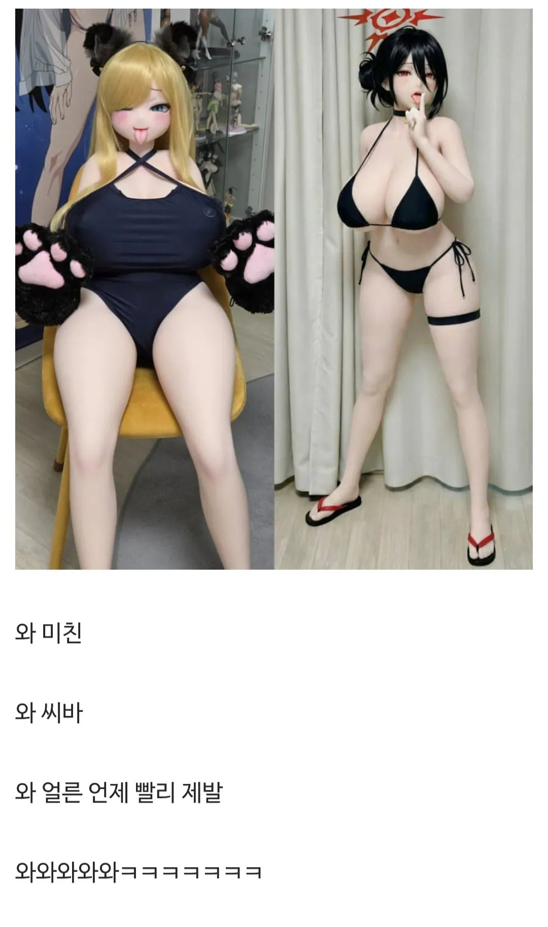 ㅇㅎ) 토이토이 집에 사람 모양 피규어를 두면 안 되는 이유와 디시인들 반응 (8)