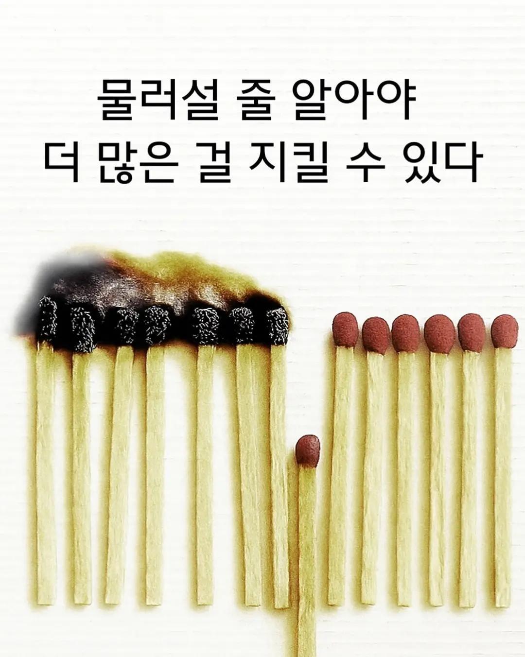 멍청한 나를 정신 차리게 도와준 그림 6장 (7)