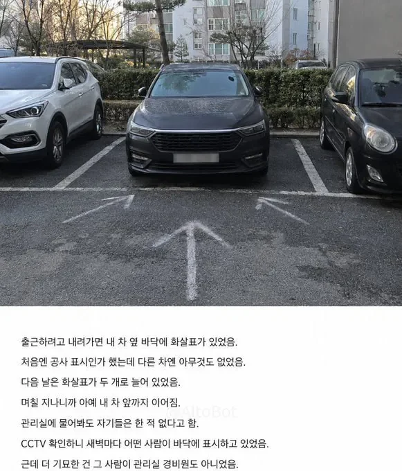 주차 개잘했는데 표식박힘
