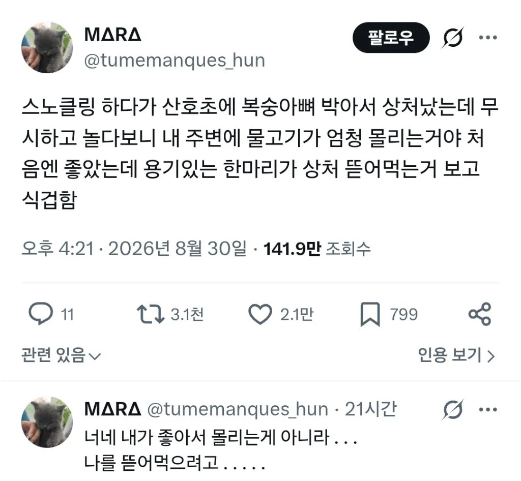 스노클링 하다가 산호초에 복숭아뼈 박아서 상처났는데