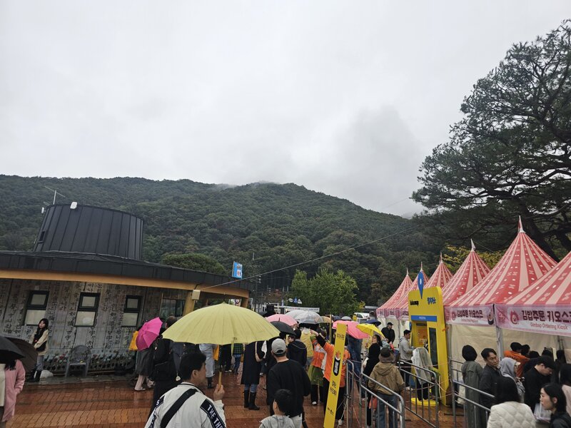 김밥축제 실시간 (7)