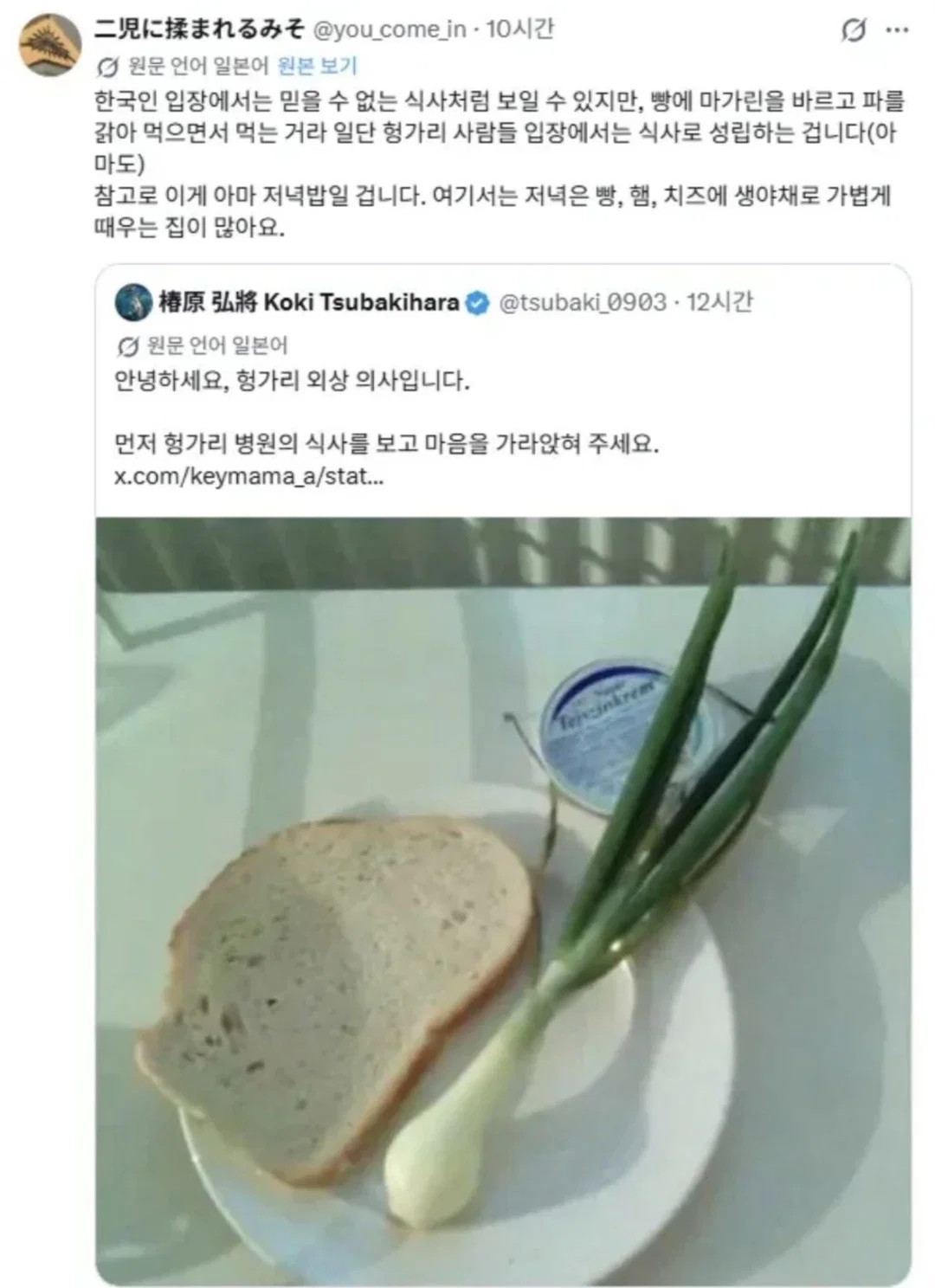 한국사람들은 보고도 못 믿는 헝가리 병원 환자식