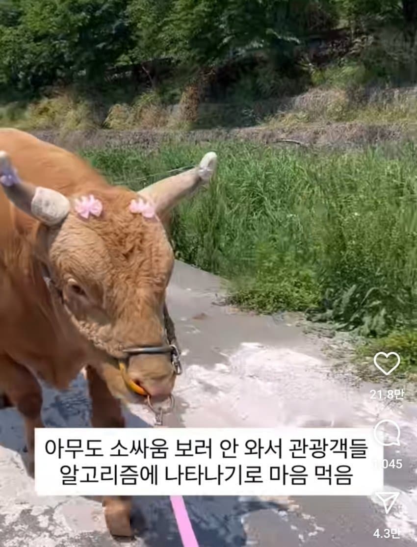 싱글벙글 의외로 동물 복지인거 (4)