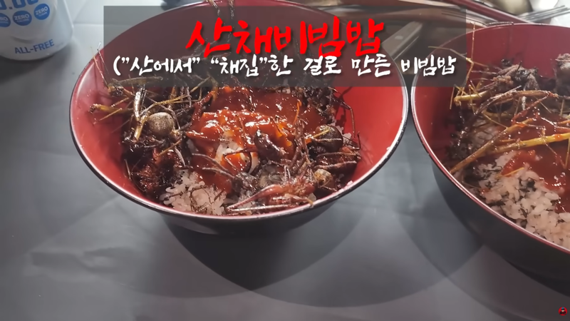 곤충 먹방에 게스트로 나왔다가 결국 곤충의 맛을 알아버린 사람 (4)