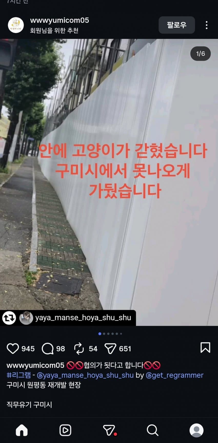 앞으로 재개발 하려거든 지역 고양이 전부 구조하라는 캣맘 (4)