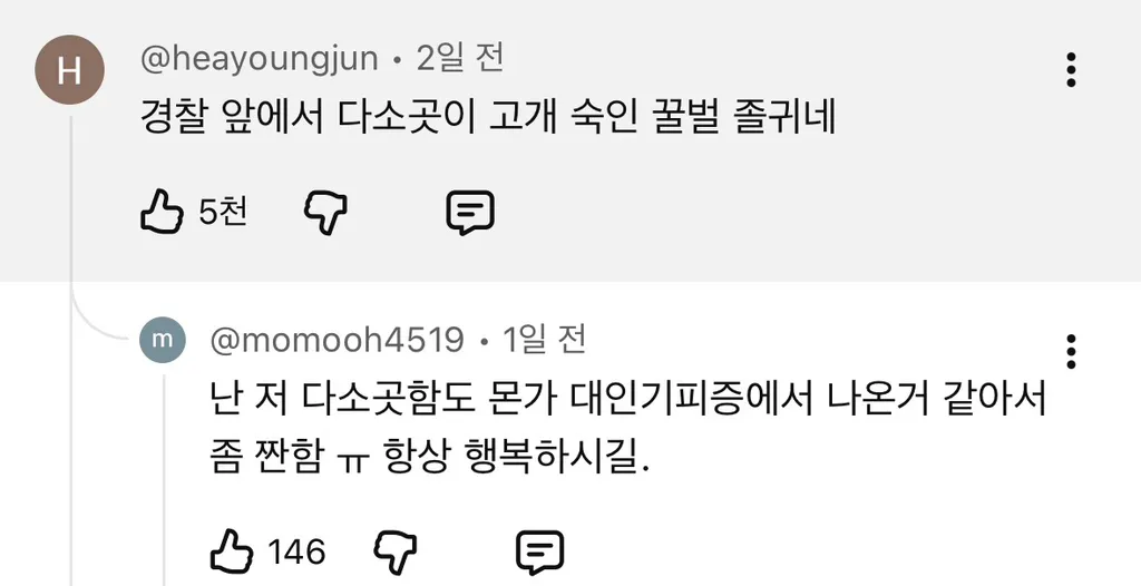 9년째 목격 된다는 꿀벌 인형탈을 쓴 사람