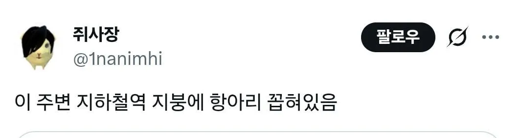 외지인을 반기는 대구 명물 모음