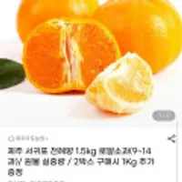 제주 서귀포 천혜향 로얄소과