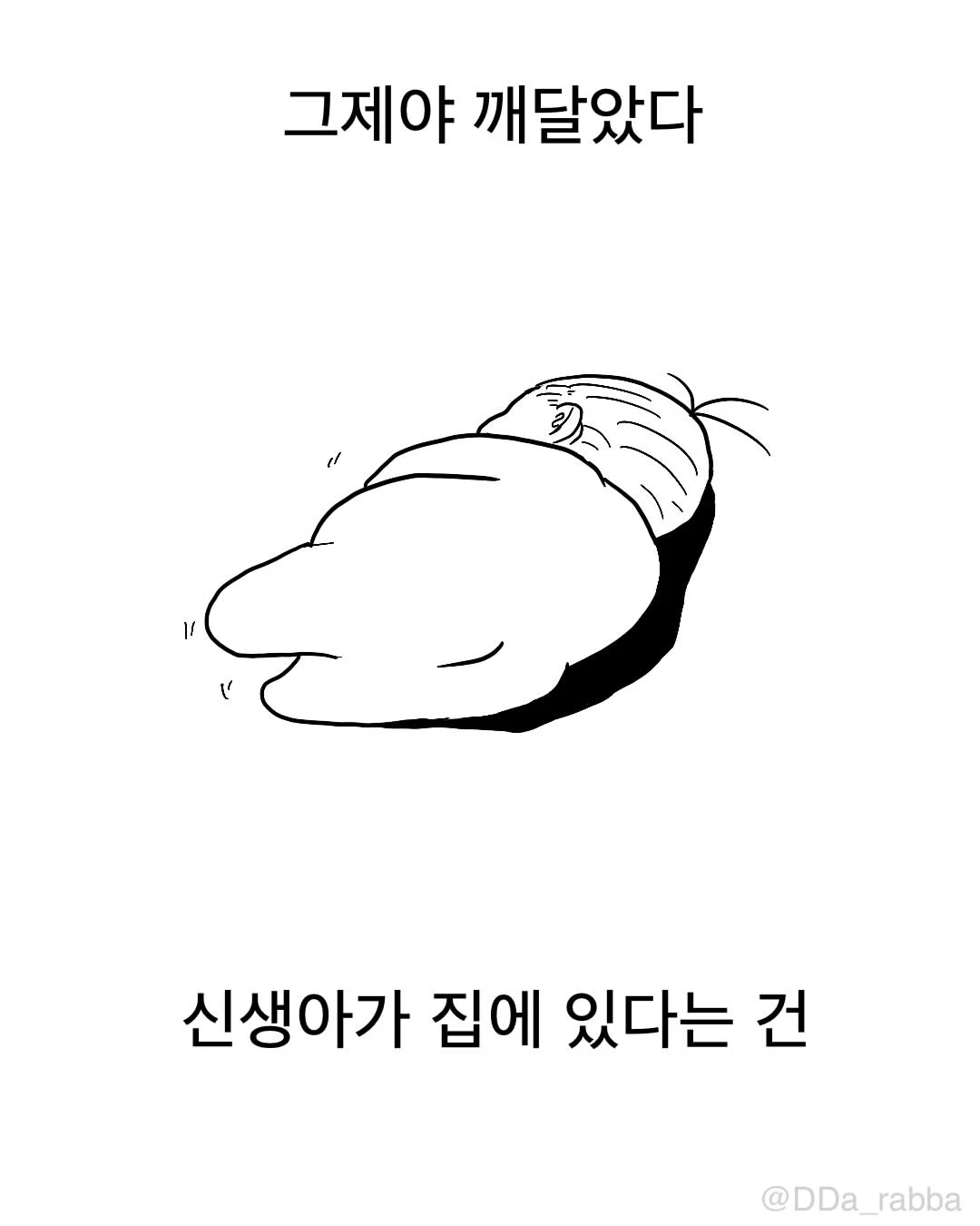 신생아가 집에 오면 생기는 일 (5)