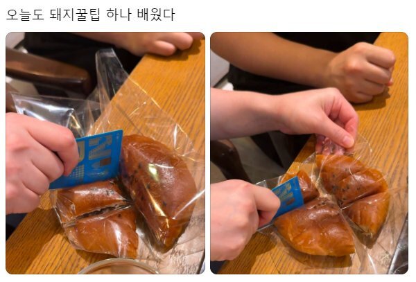 오늘도 돼지꿀팁 하나 배웠다