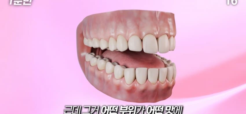 학교에서 배운 '혀 맛' 지도가 잘못됐다..? (30)