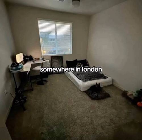 전세계의 대충 잠만 자면 되는 사람들의 침실