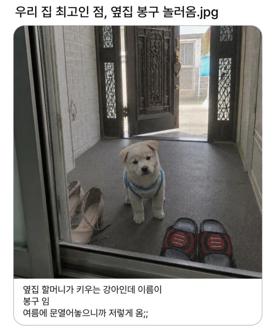 우리집이 좋은 이유