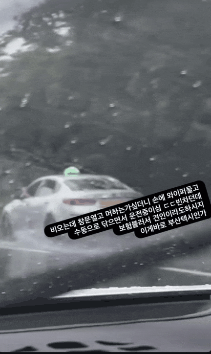 부산택시 근황