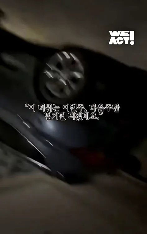 빡침주의) 폭염속 차 안에 살던 리트리버 카도 (9)
