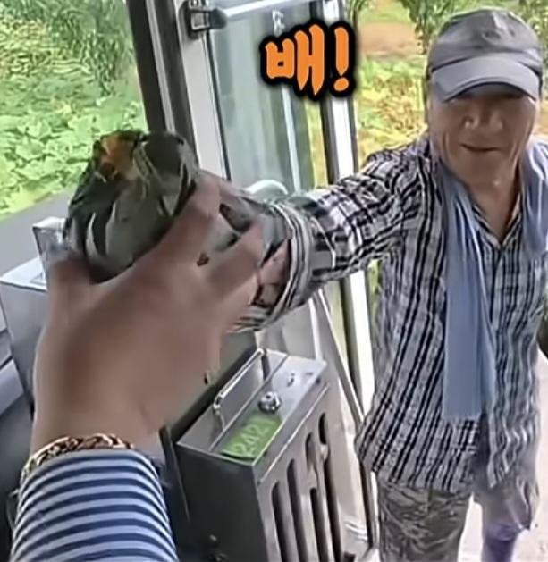 시골 카르텔 (7)