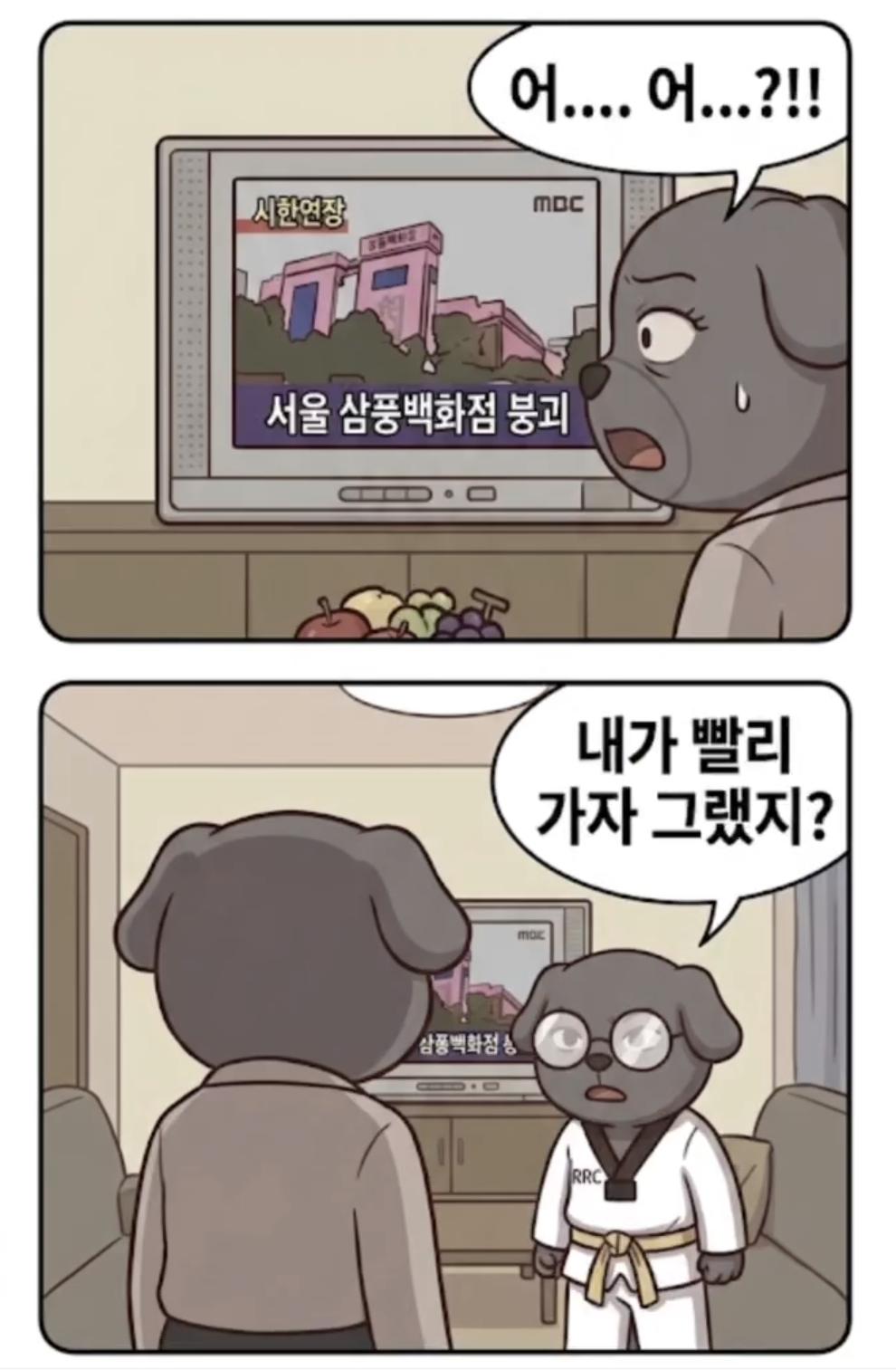 삼풍백화점 괴담 (5)
