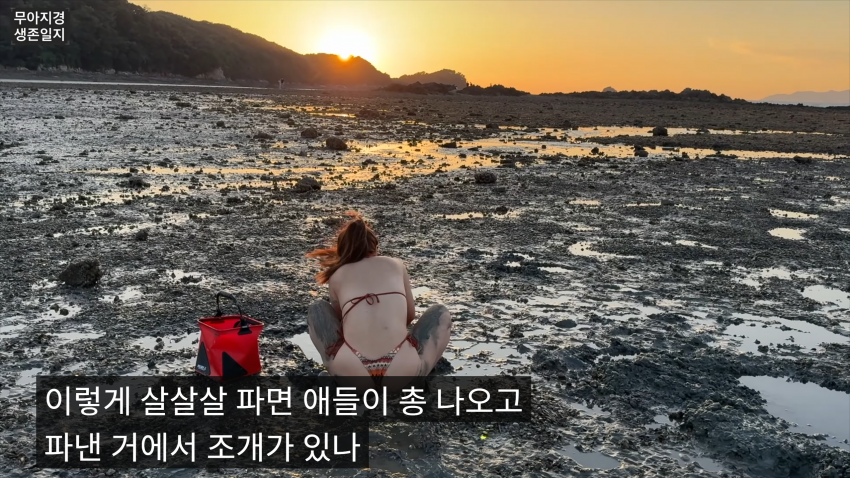 갯벌에서 식자재 해결하는 여자 (28)
