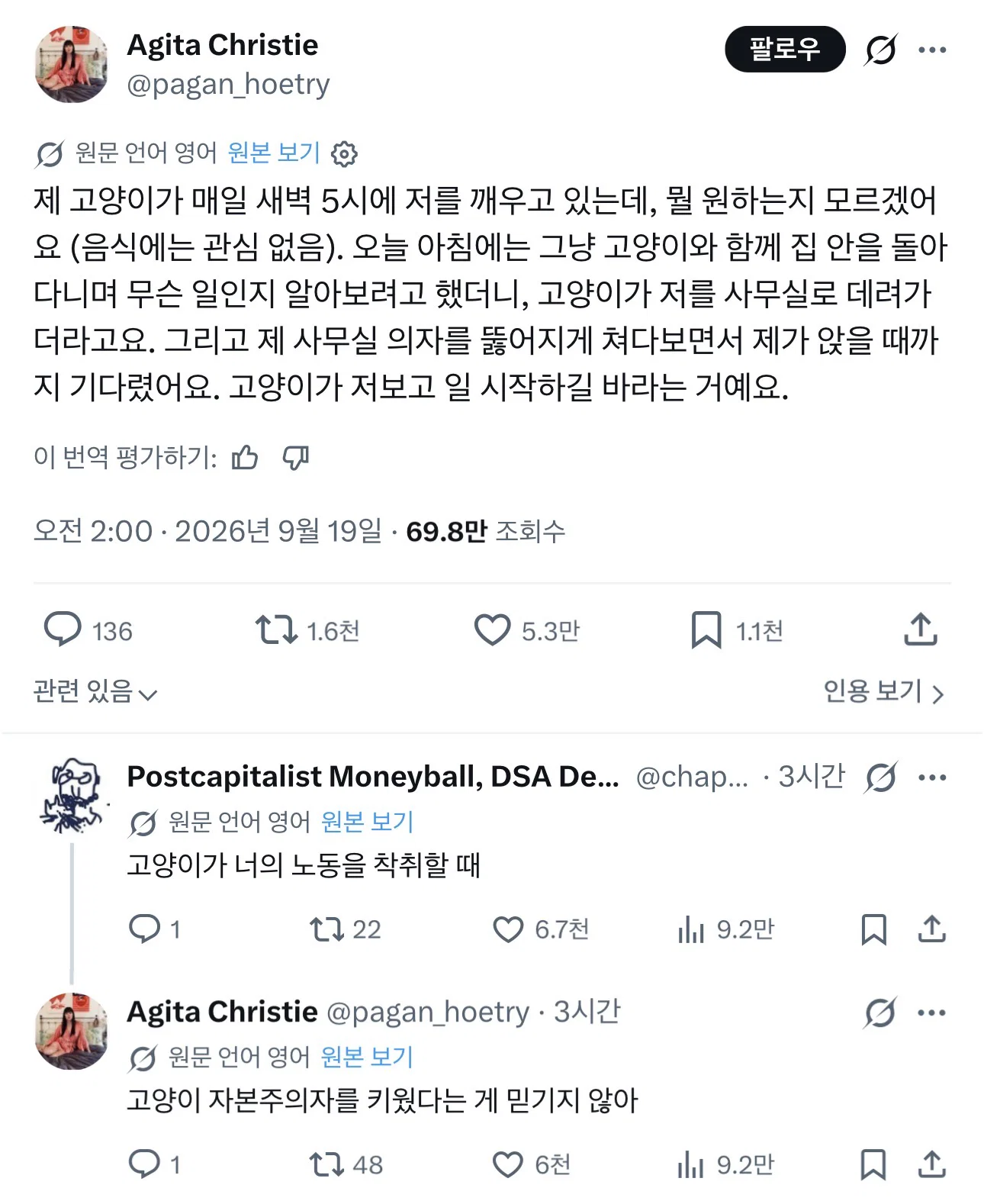 자본주의 고양이
