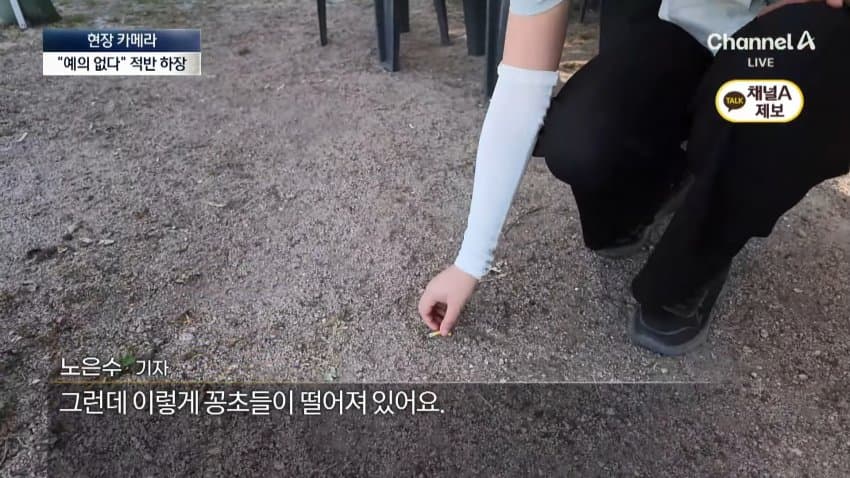 경복궁서 버젓이..담뱃불 붙이는 관광객 (27)