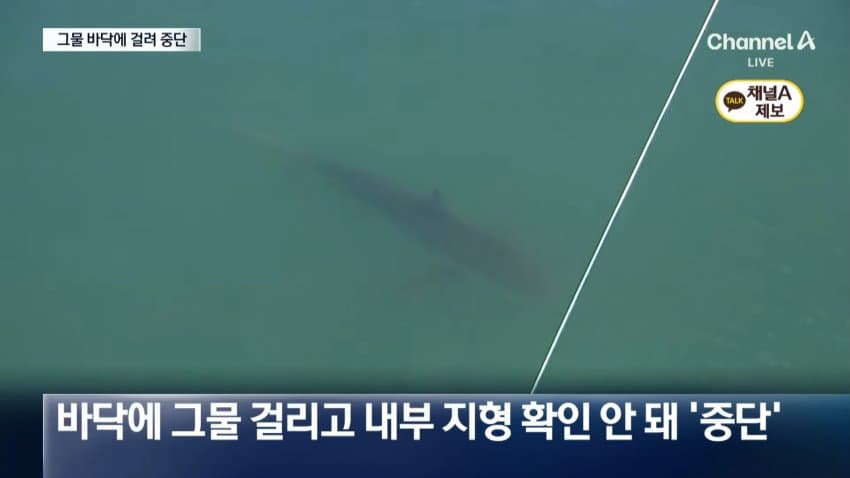 상어 부캉이 구조작업 또 실패…바다 앞서 멈췄다 (25)