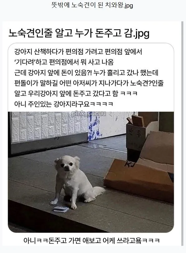 노슥견인 줄 알고 누가 돈 주고 감..