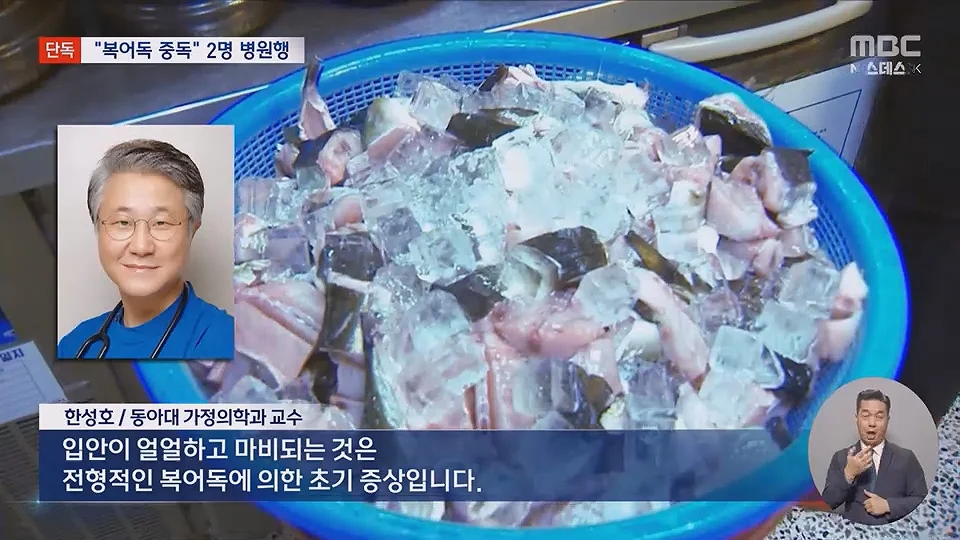 [단독] 소문 난 복국집서 '복어독' 중독‥병원행 식당측 "개인의 체질문제" (8)