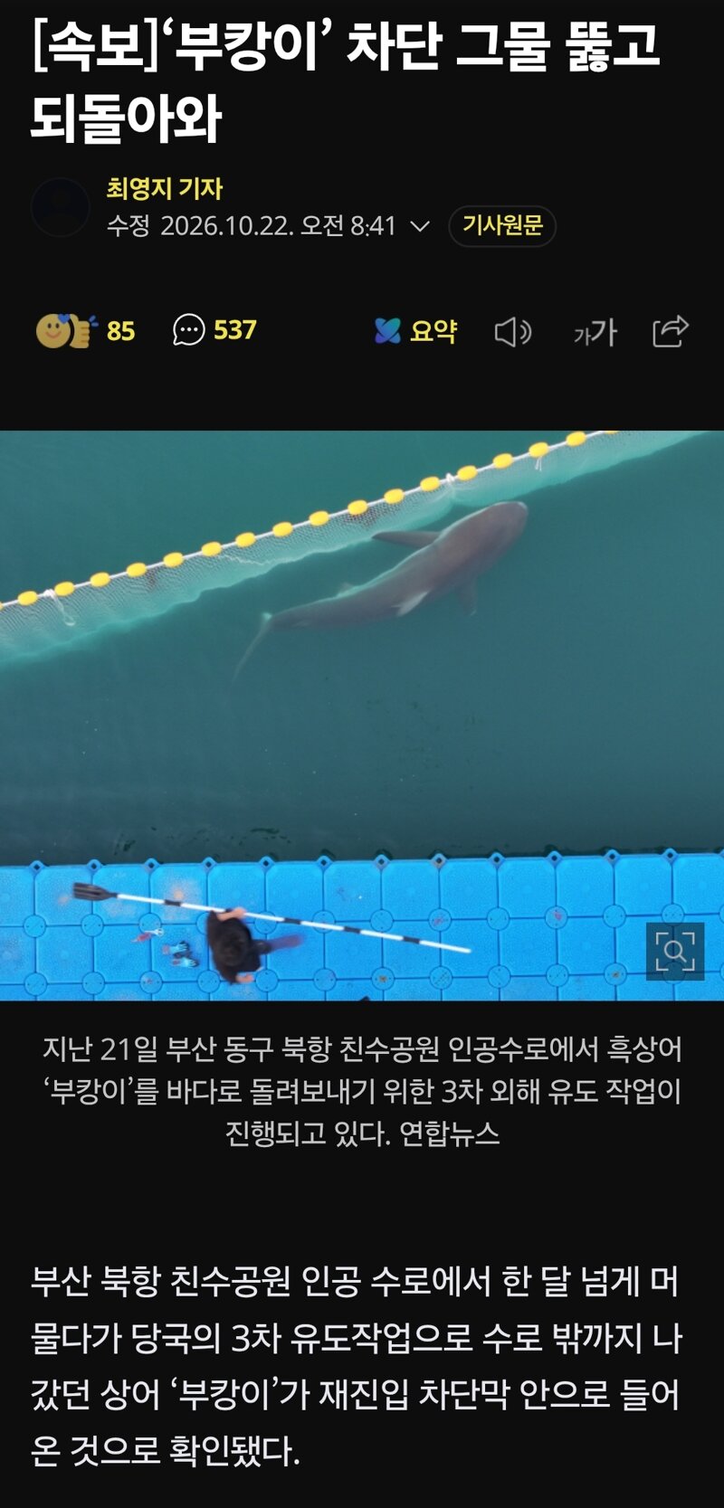 ‘부캉이’ 차단 그물 뚫고 되돌아와