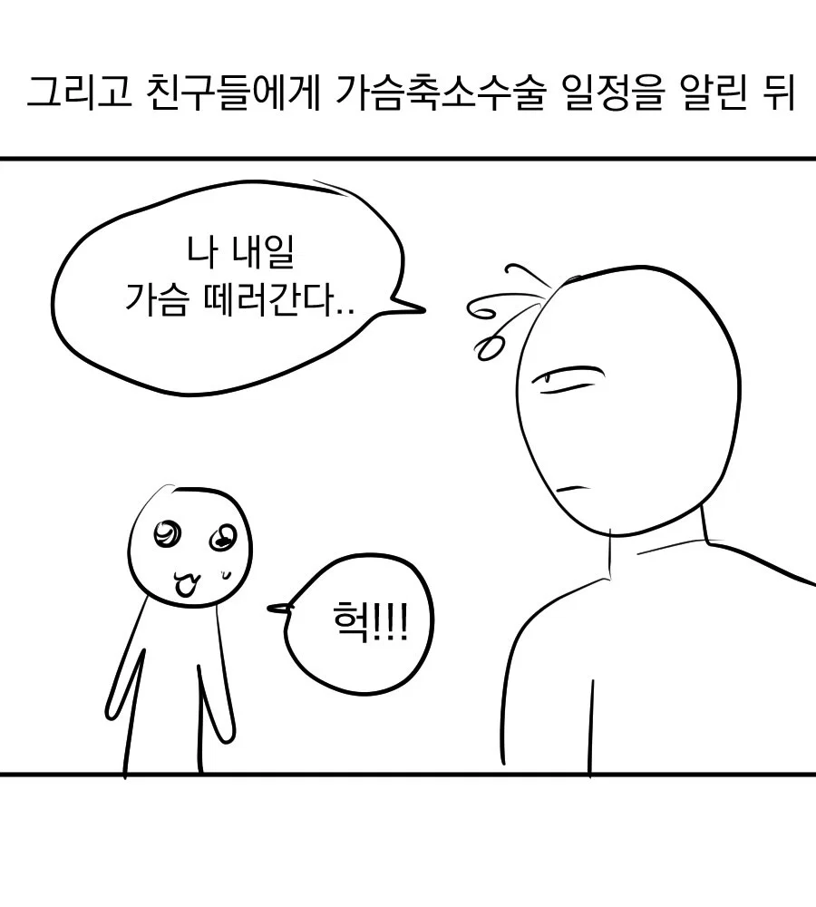 어느 웹툰 작가의 가슴 축소 수술 후기 만화 (14)