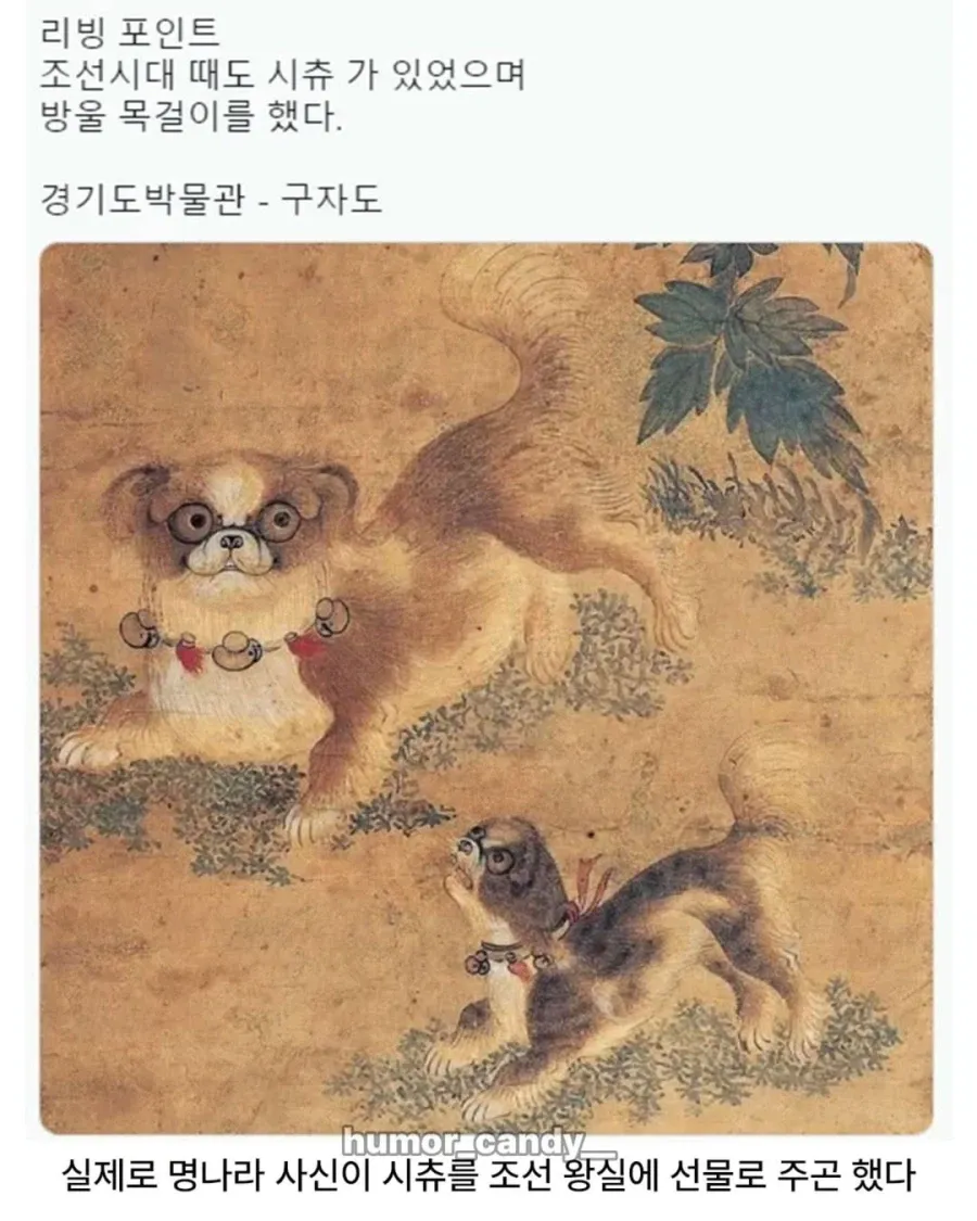 의외로 조선시대에 있었던 견종