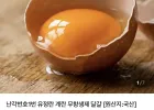난각번호 1번 유정란 20구