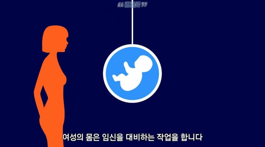 남자들은 잘 모르는 냉 이라는 것에 대하여 (25)