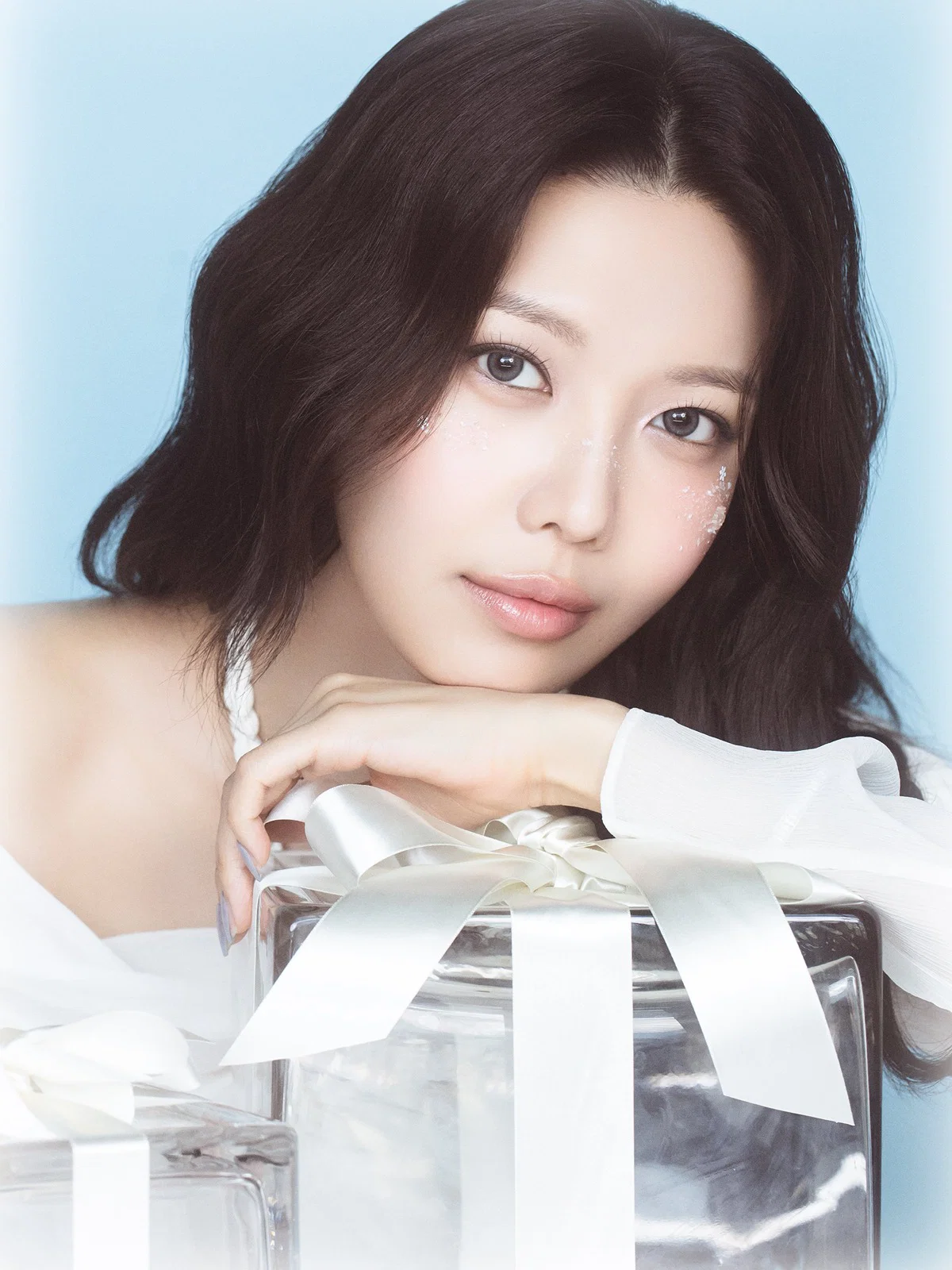 2027 Girls' Generation 소녀시대 SEASON’S GREETINGS (7)